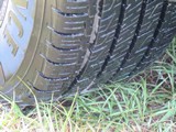 Image 0081
